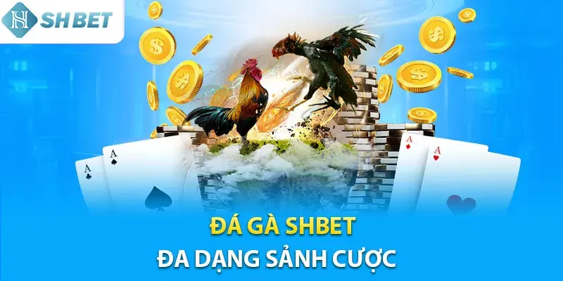 Tổng Hợp Các Loại Hình Đá Gà Phổ Biến