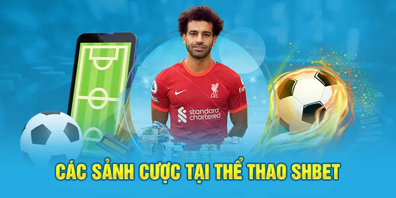 Khám Phá Các Sảnh Cá Cược Thể Thao Shbet17