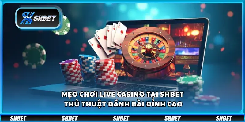 Mẹo Chơi Live Casino Shbet17 Bất Bại Từ Chuyên Gia