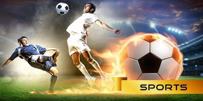 Xu Hướng Cá Cược Esport Và Thể Thao Ảo Tại Shbet17